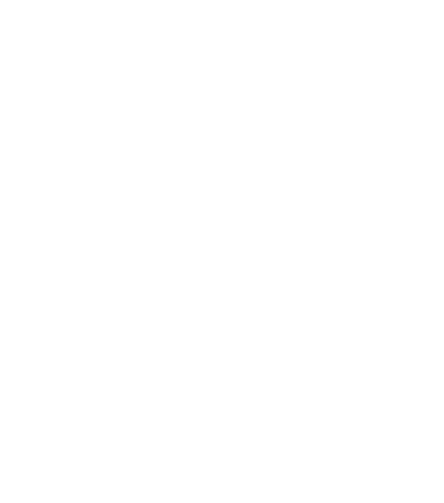 Asheville Bread Festival