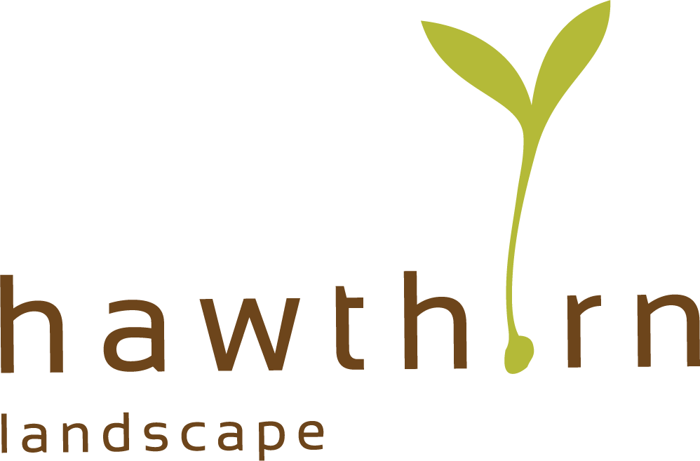 Hawthorn Landscape 