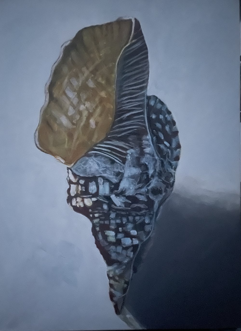JANE DOW ART 