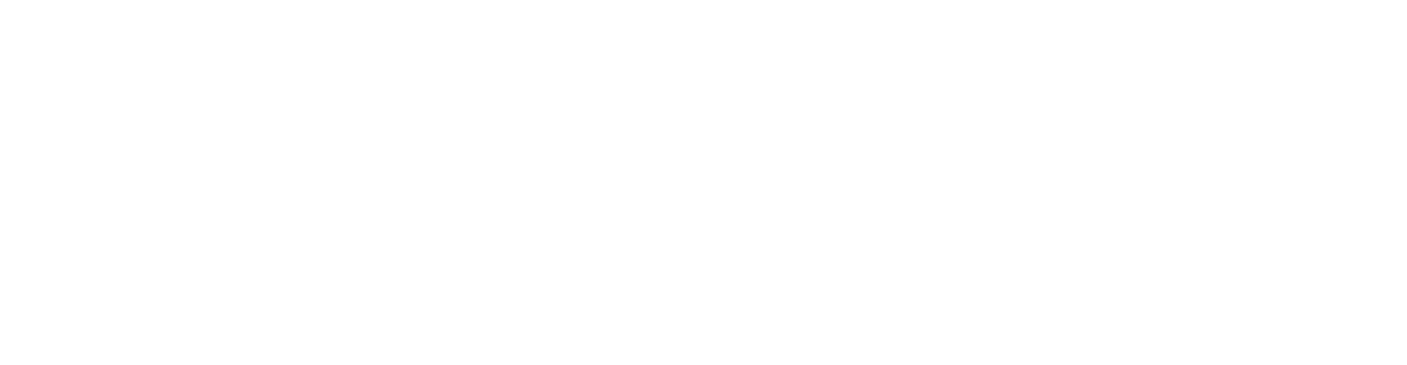 Technico Service