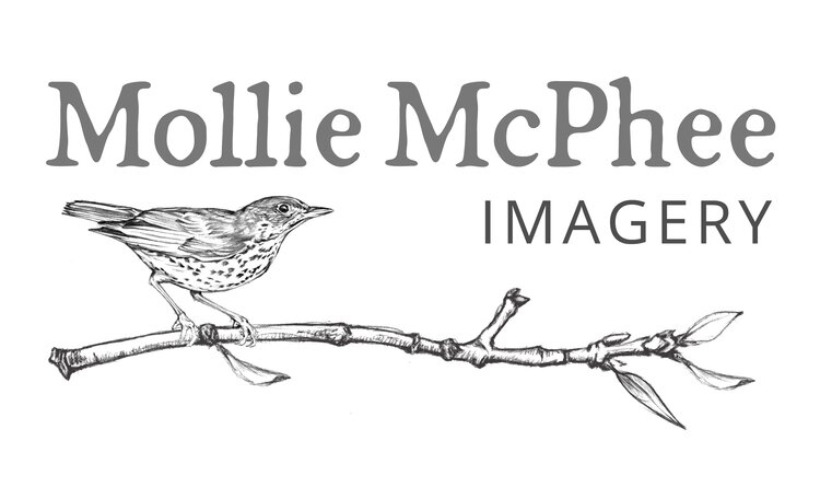 Mollie McPhee
