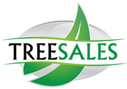 Tree Sales