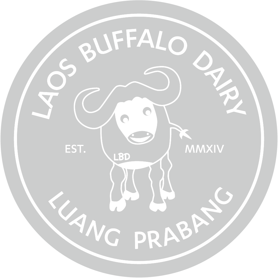 Laos Buffalo Dairy