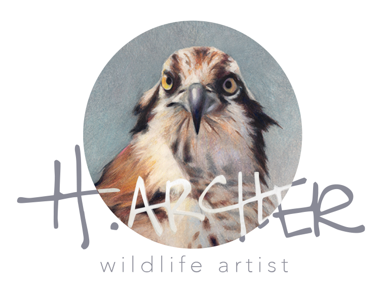 Wildlife Art by H. Archer