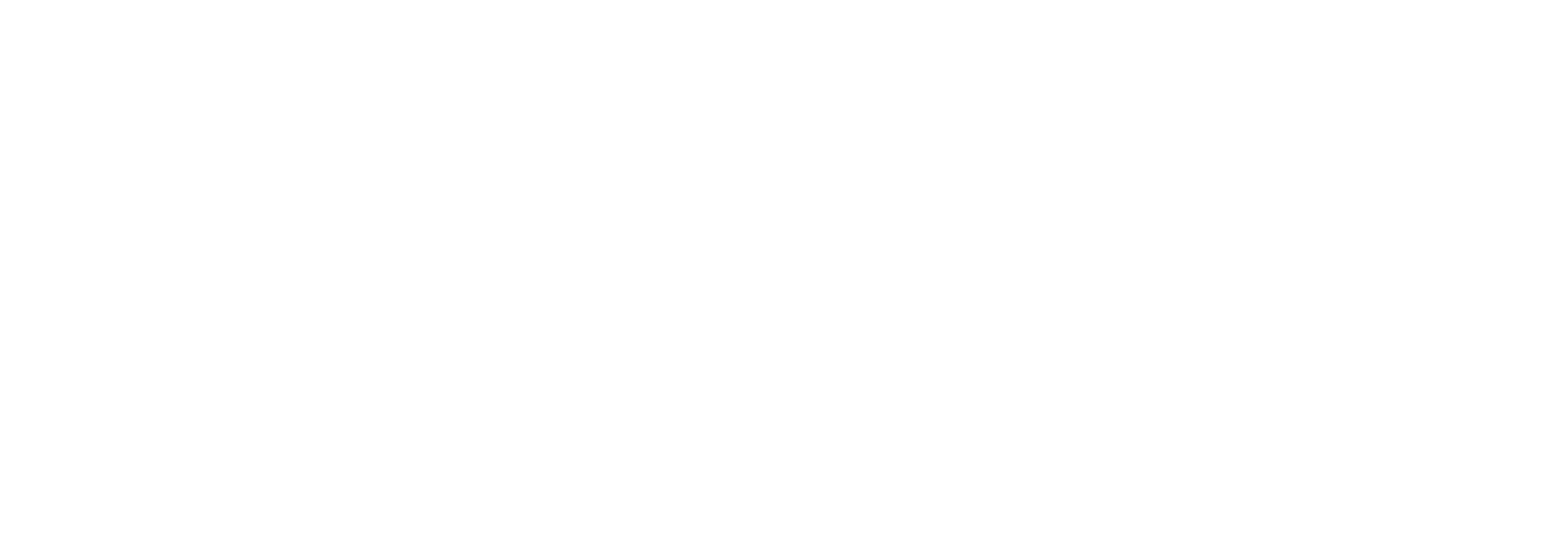 Dan Stein, Criminal Lawyer