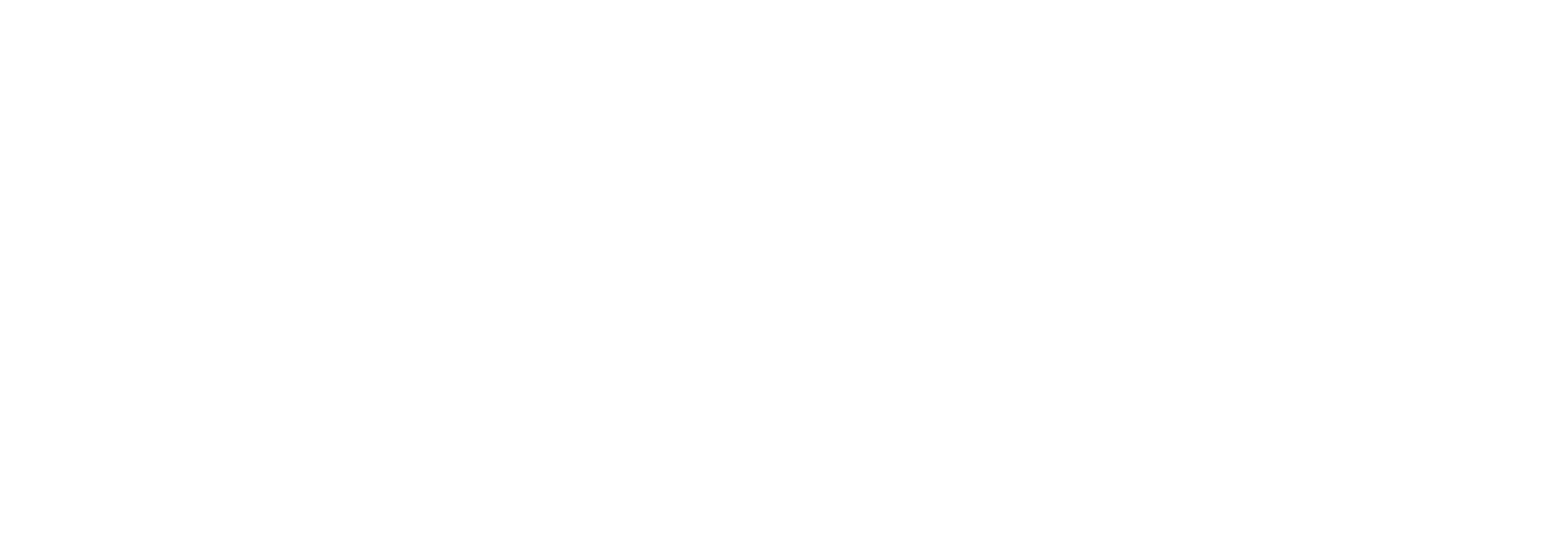 Dan Stein, Criminal Lawyer