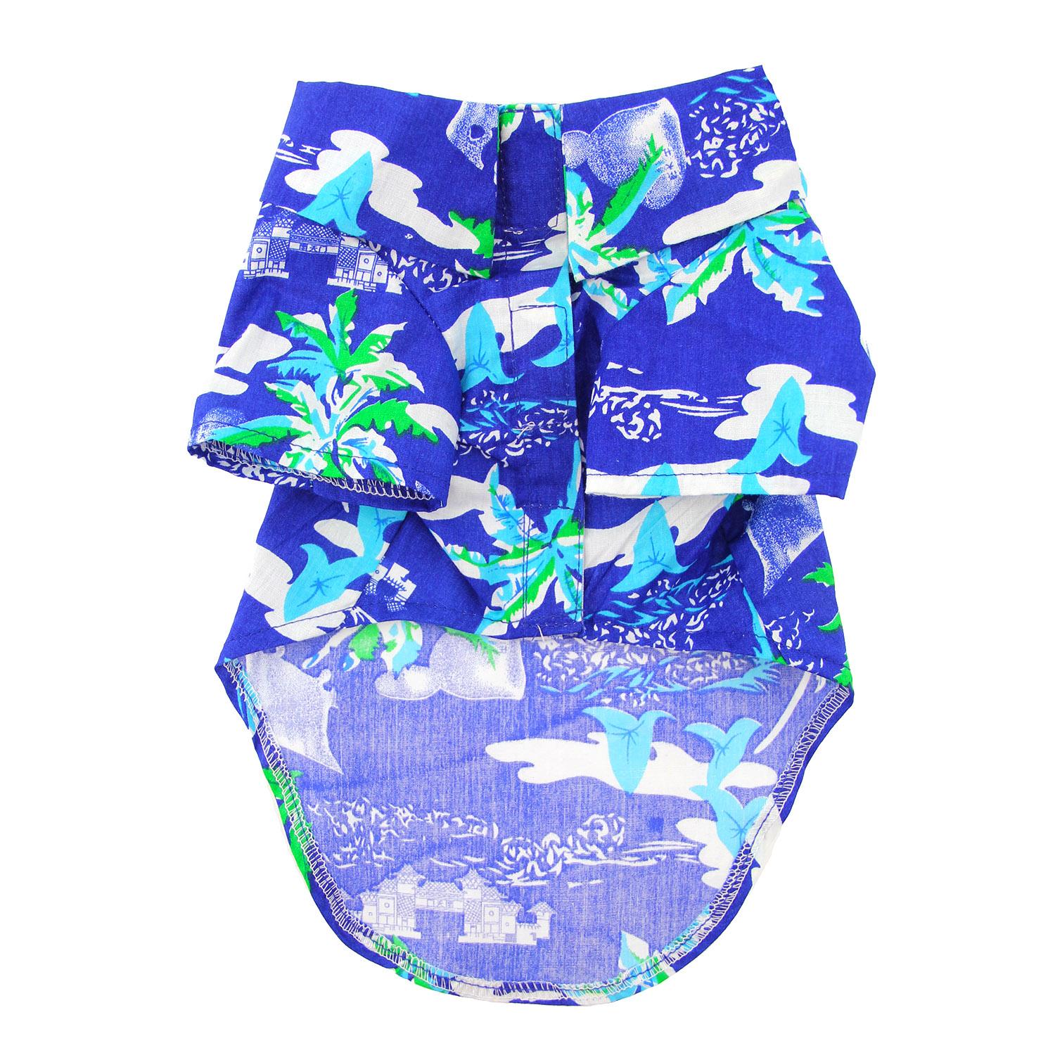 夏威夷露营滚球盘海洋蓝色palms-4542.jpg
