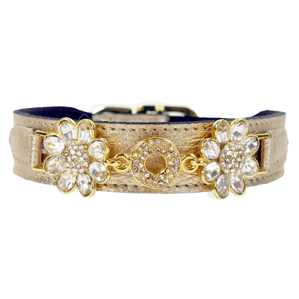 Daisy-In-Metallic-gold.jpg