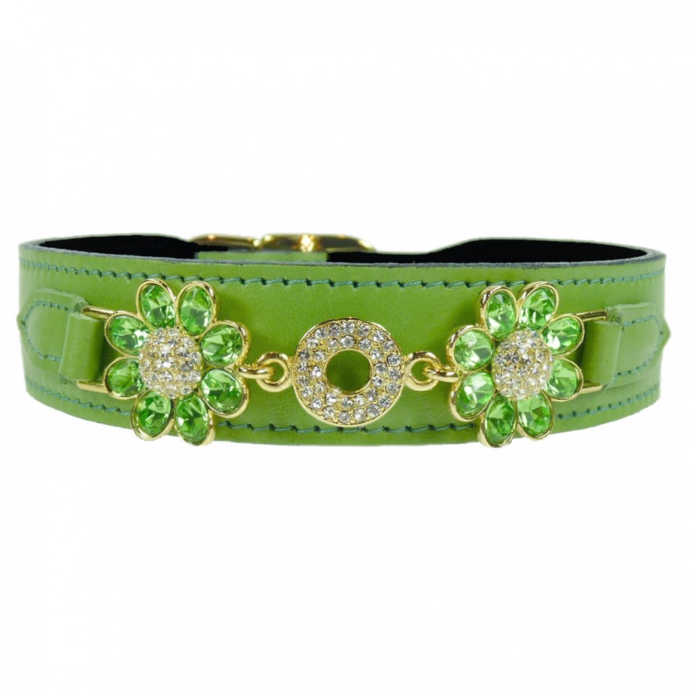 daisy_in_lime_gr_50aefd2998e0c.jpg.
