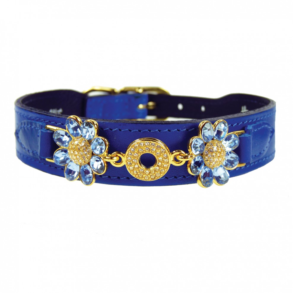 daisy_in_cobalt_blue_gold_light_sapphire.jpg.