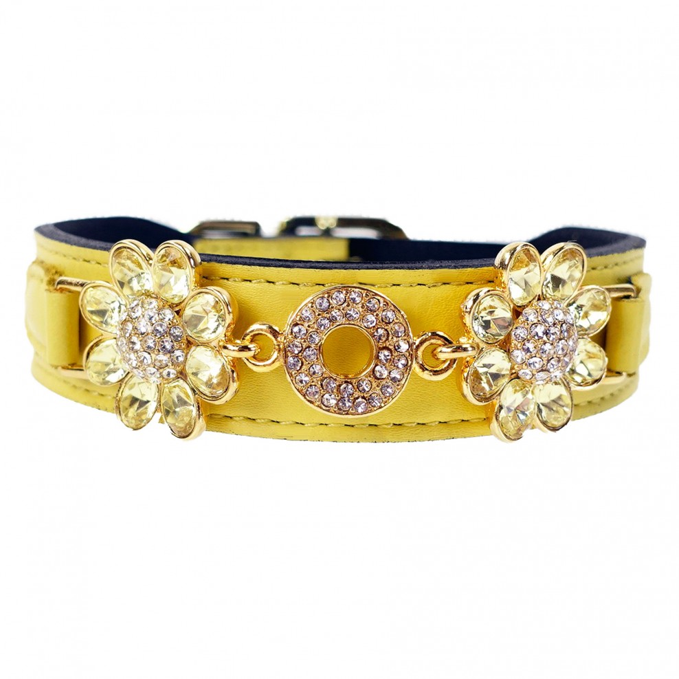 新鲜的As-A-Daisy-Canary-Yellow -_- jonquil.jpg