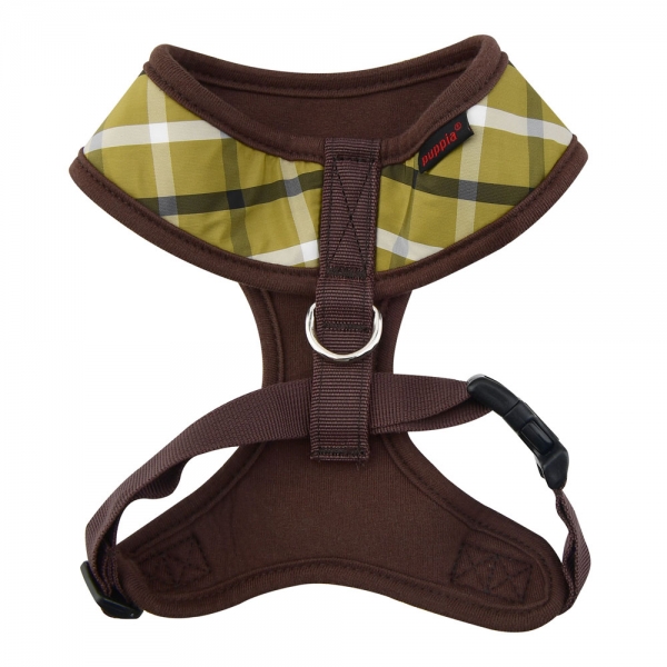 pasa-ha1602-olive1.jpg