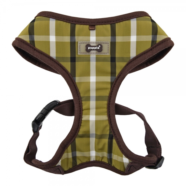 pasa-ha1602-olive3.jpg