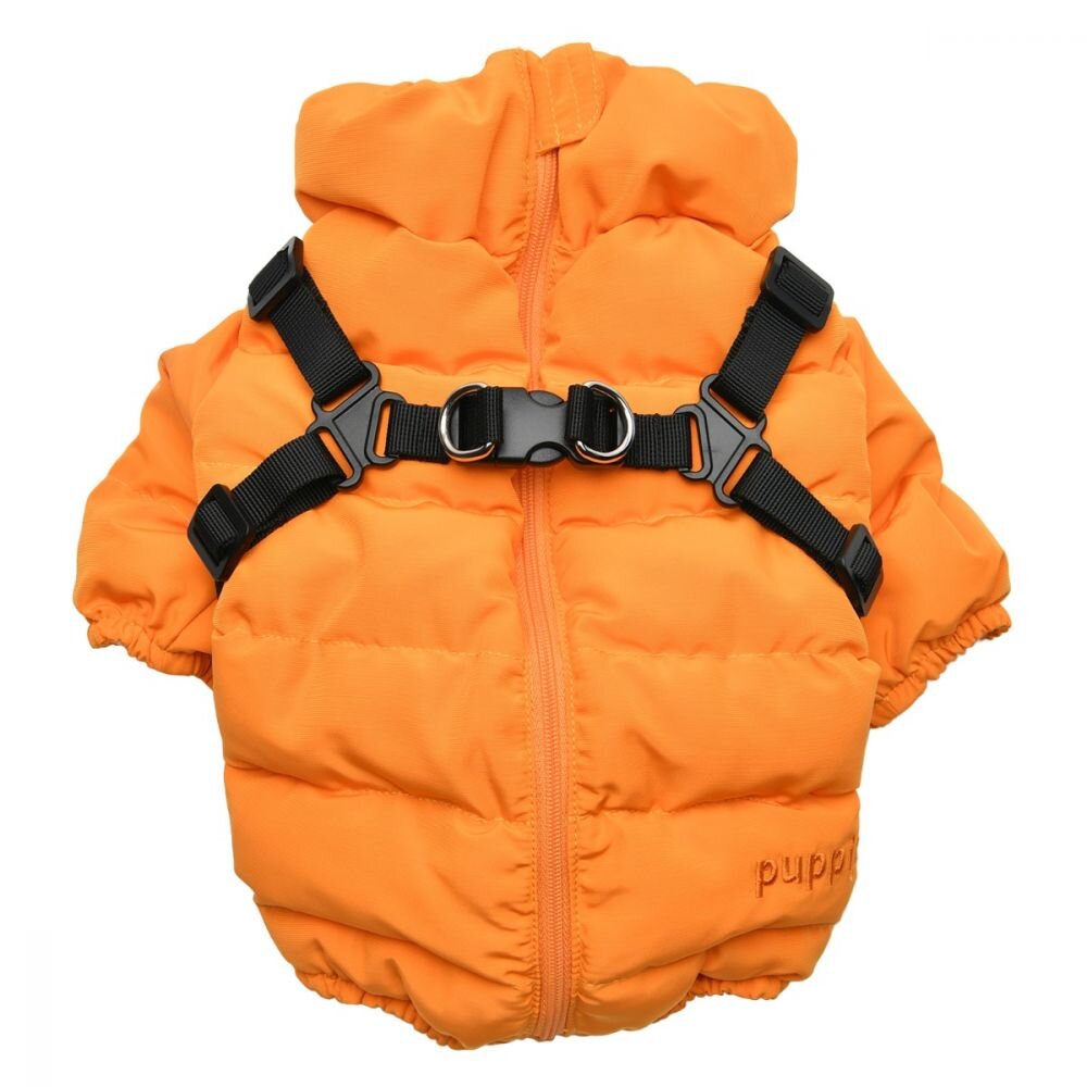 paud-jm1676_orange.jpg