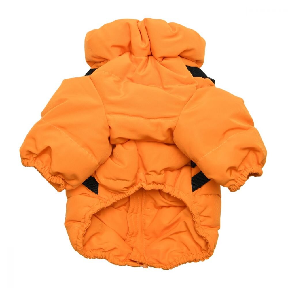 paud-jm1676_orange2.jpg