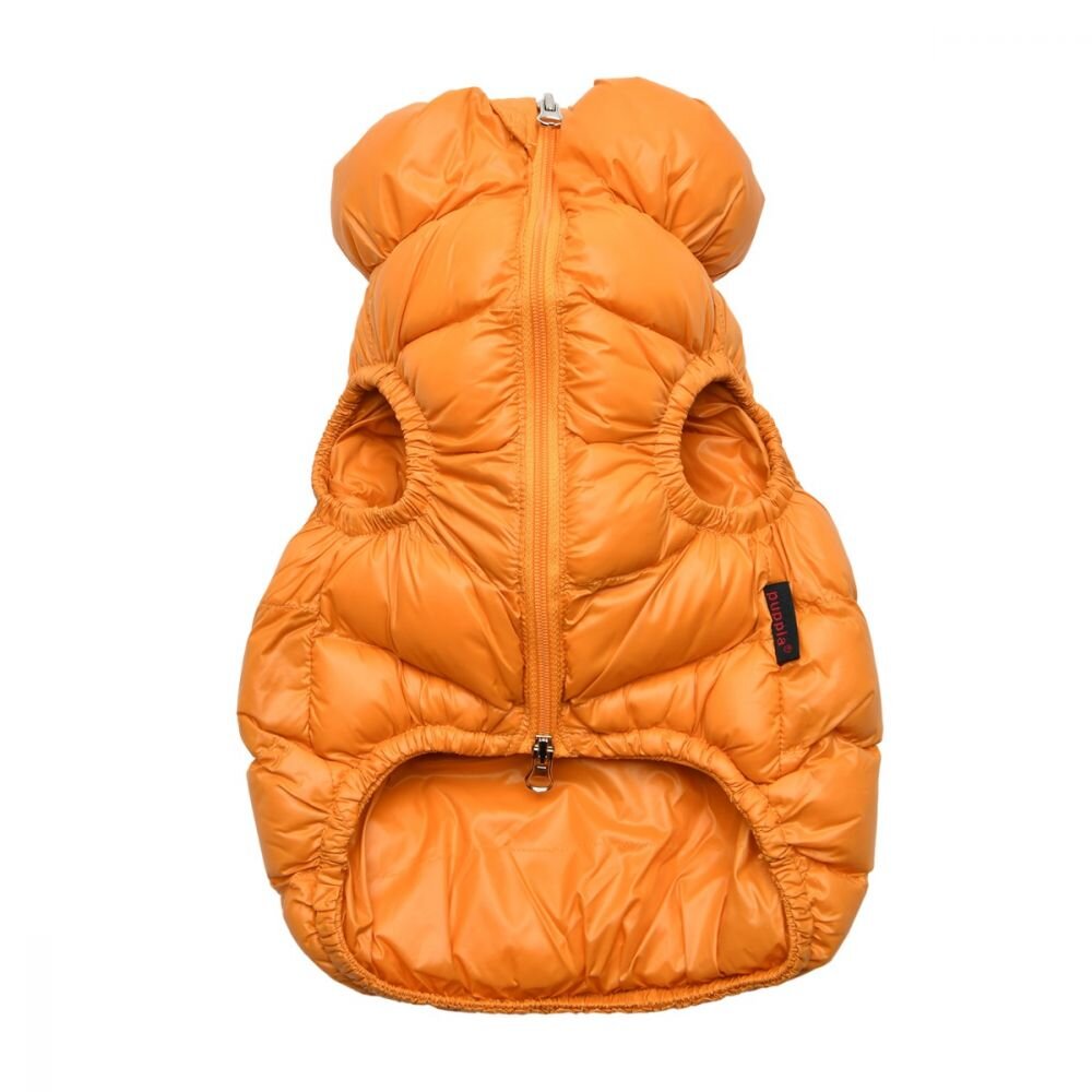 PAPD-JM1670_Mustard2.jpg.