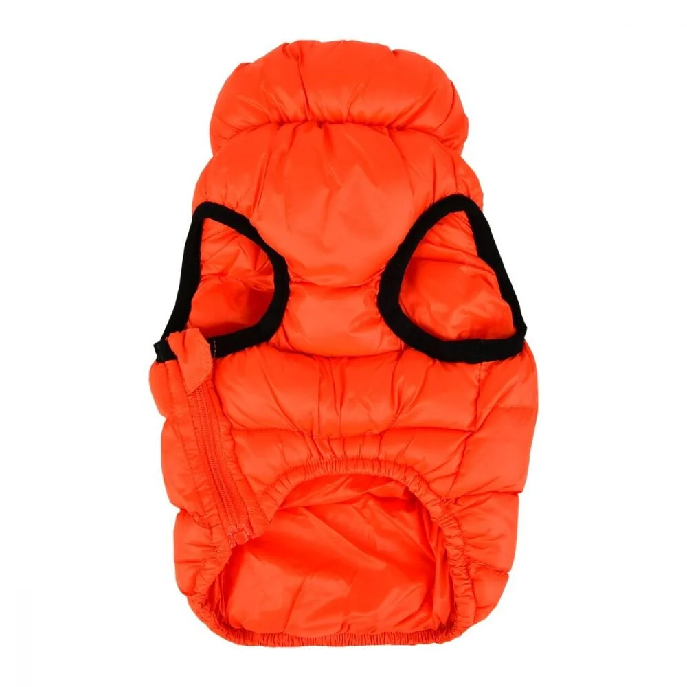 papd-jm1671-orange2.jpg