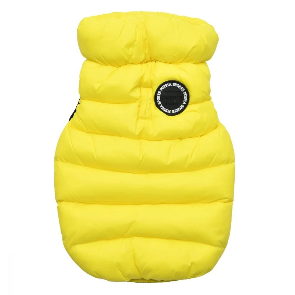 papd-jm1671_yellow.jpg