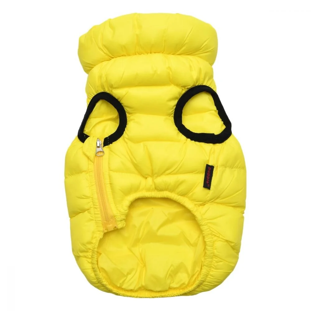 papd-jm1671_yellow2.jpg