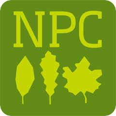 Nyack Park Conservancy