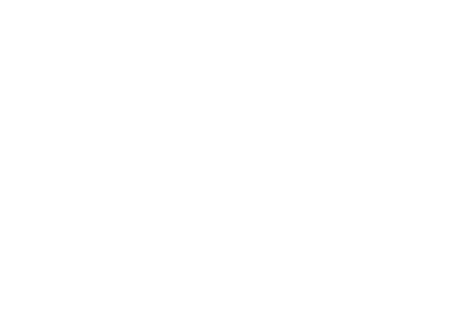 New District Media