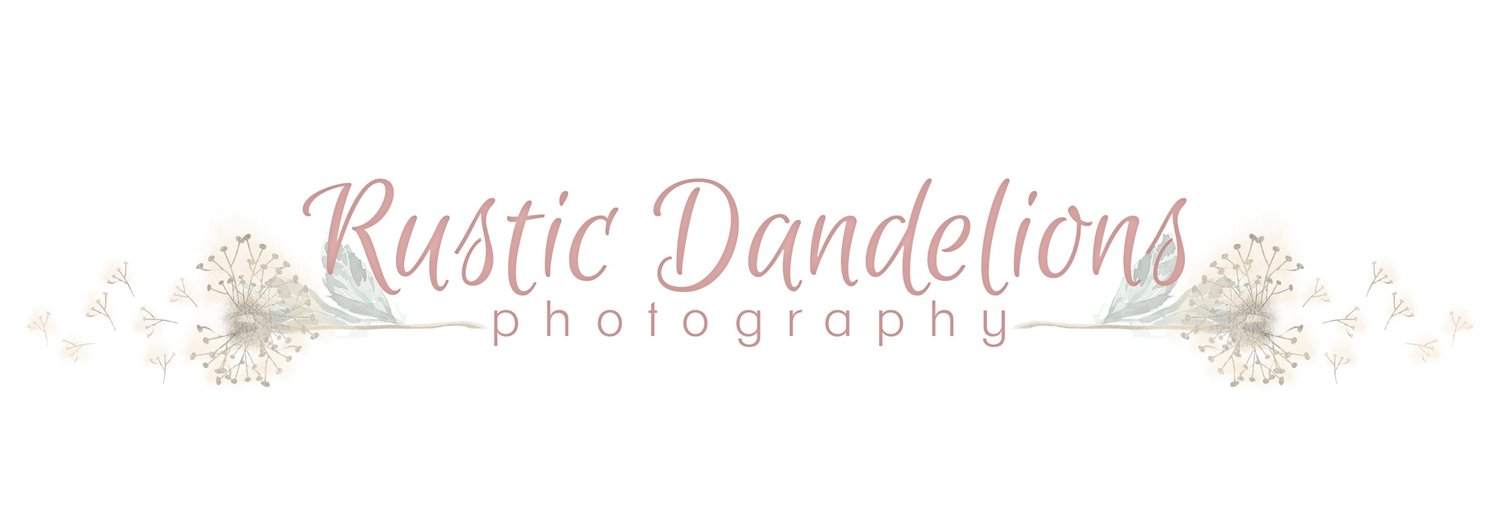 Rustic Dandelions Photography | Family, Children, and Senior SessionsPetoskey Michigan