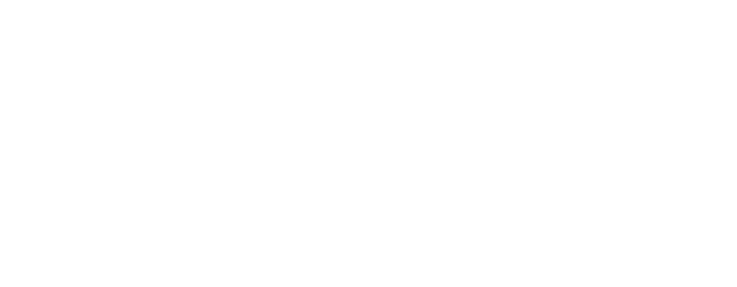 The Brooklyn Press