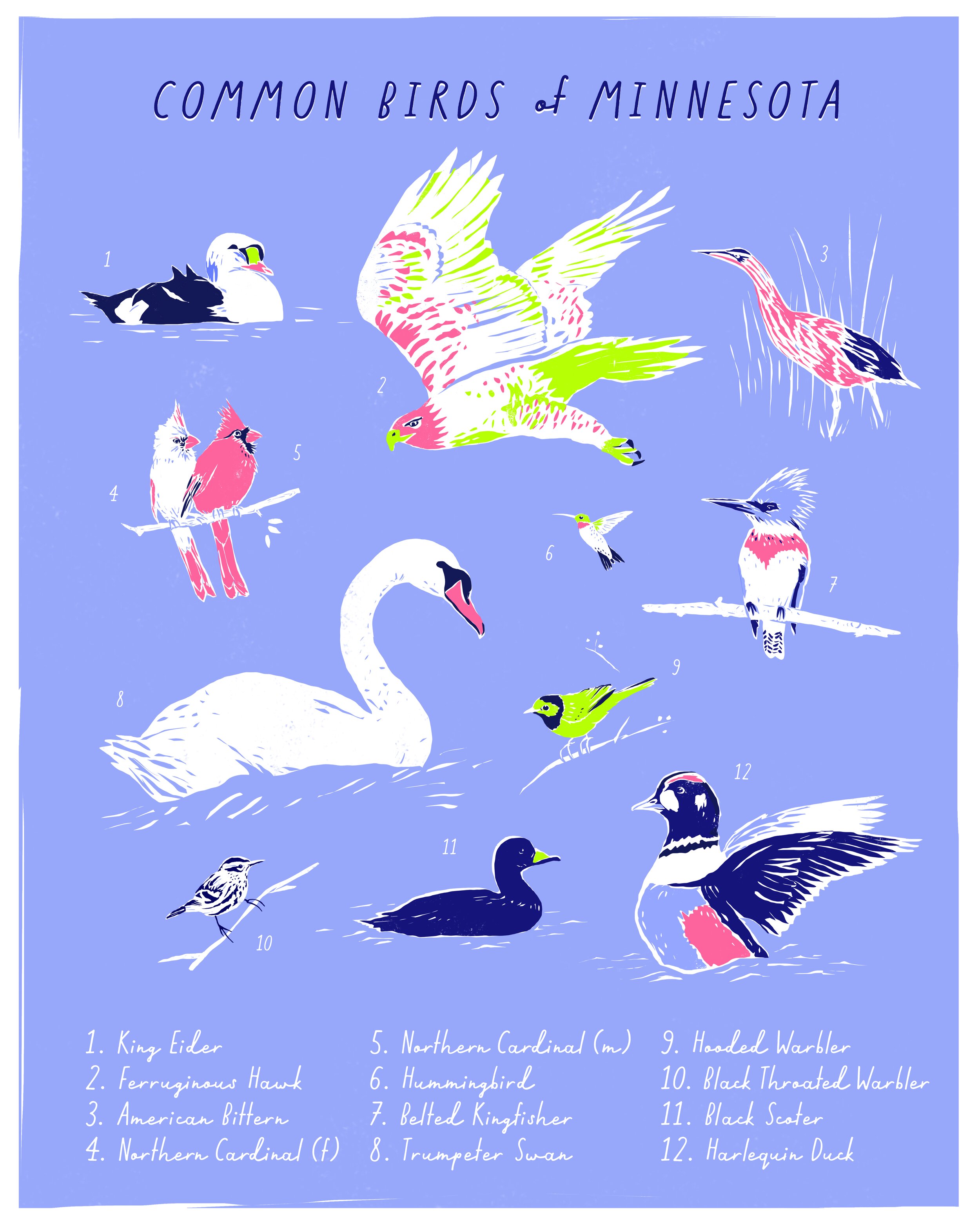 Common Birds Of Minnesota Dana Kristine Koehler,Easy Balloon Animals Instructions