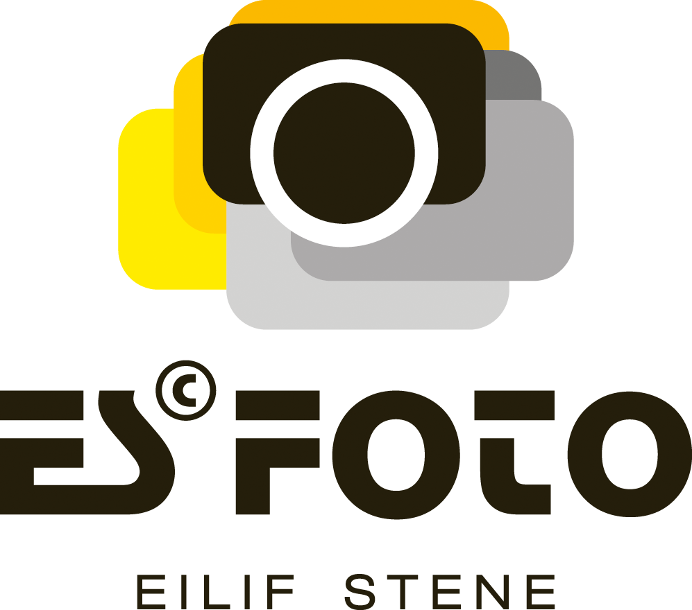 Eilif Stene Foto