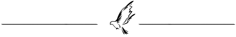 bird-e1497113097343.png