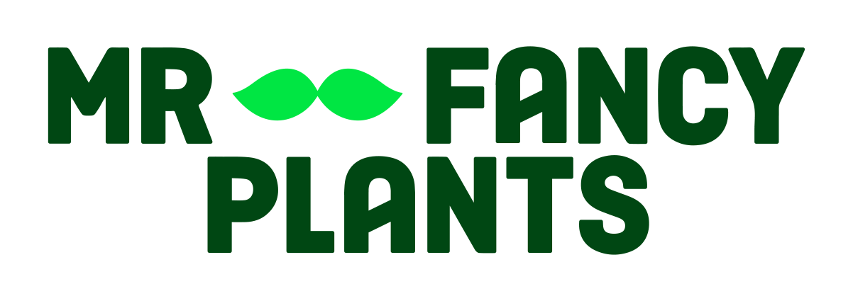 MR FANCY PLANTS  
