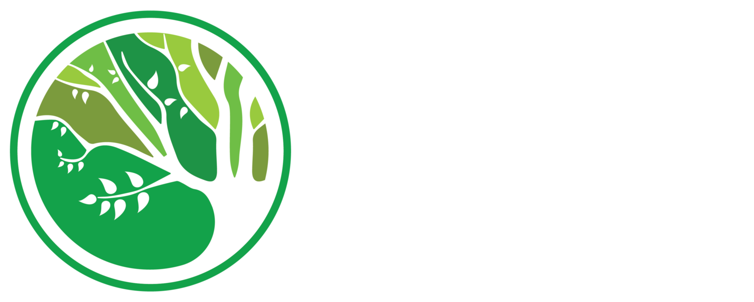 Sounder Psychotherapy