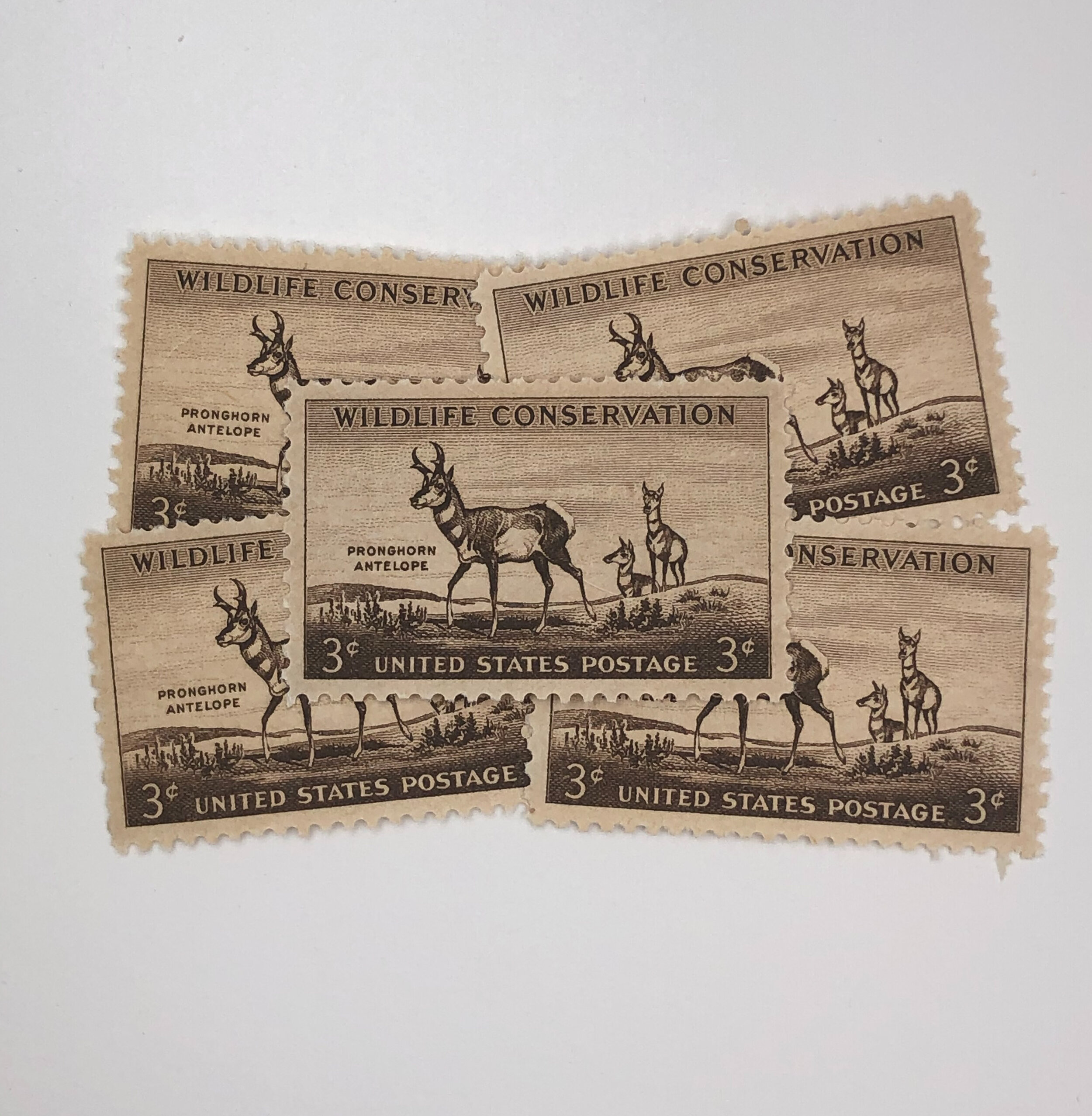 Circa 1960's Unused Postcards Pronghorn Antelope Bulk Lot of 18 