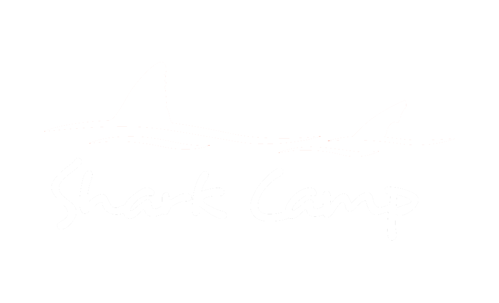 Shark Camp