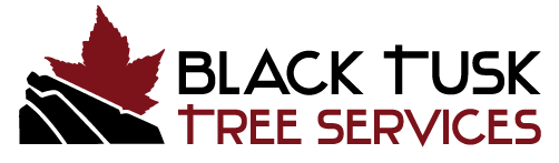 Black Tusk Tree Services