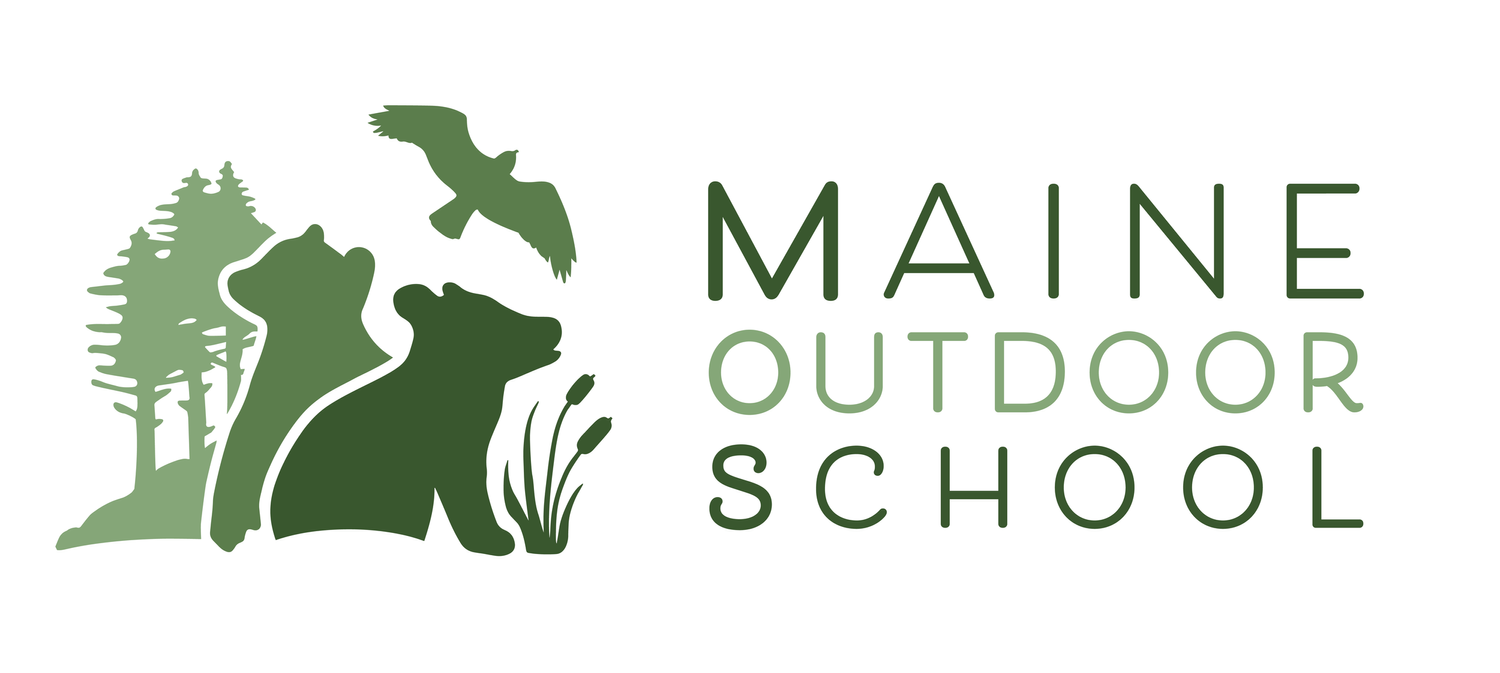 Maine Outdoor School, L3C