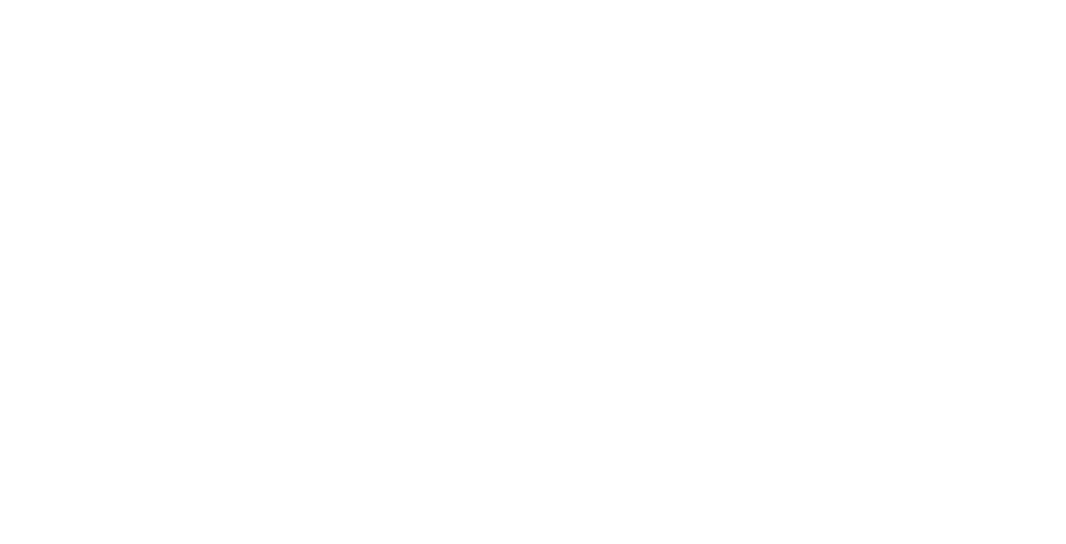 DIVENTO FINANCIALS