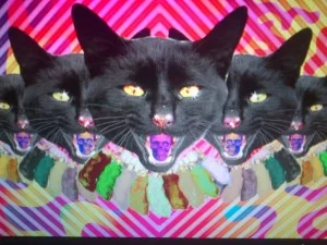 BLACK-CAT