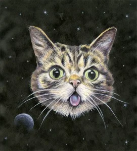 CAT001