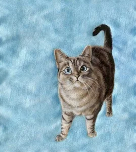 CAT002