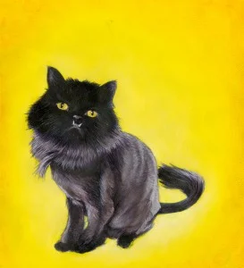 CAT004