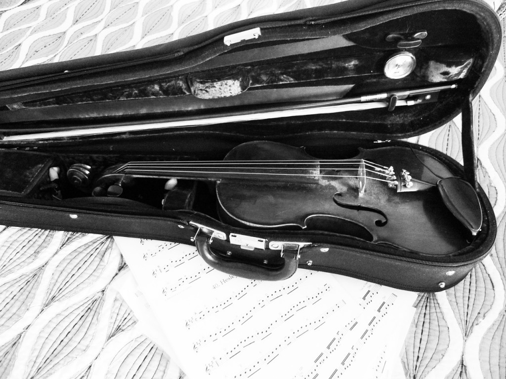 Violin