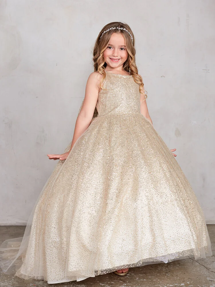 Danielly's Boutique Glitter Flower Girl Ball Gown