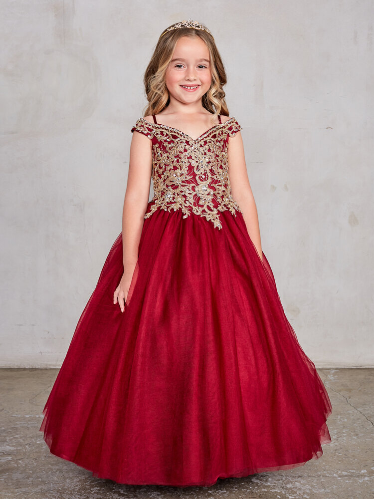 Lace Ball Gown- TT-007024 — Danielly's ...
