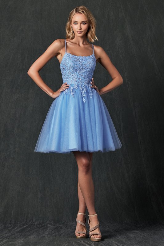 Powder Blue Quinceanera Dama Dress Homecoming Dress Short Party Dress Danielly s Boutique