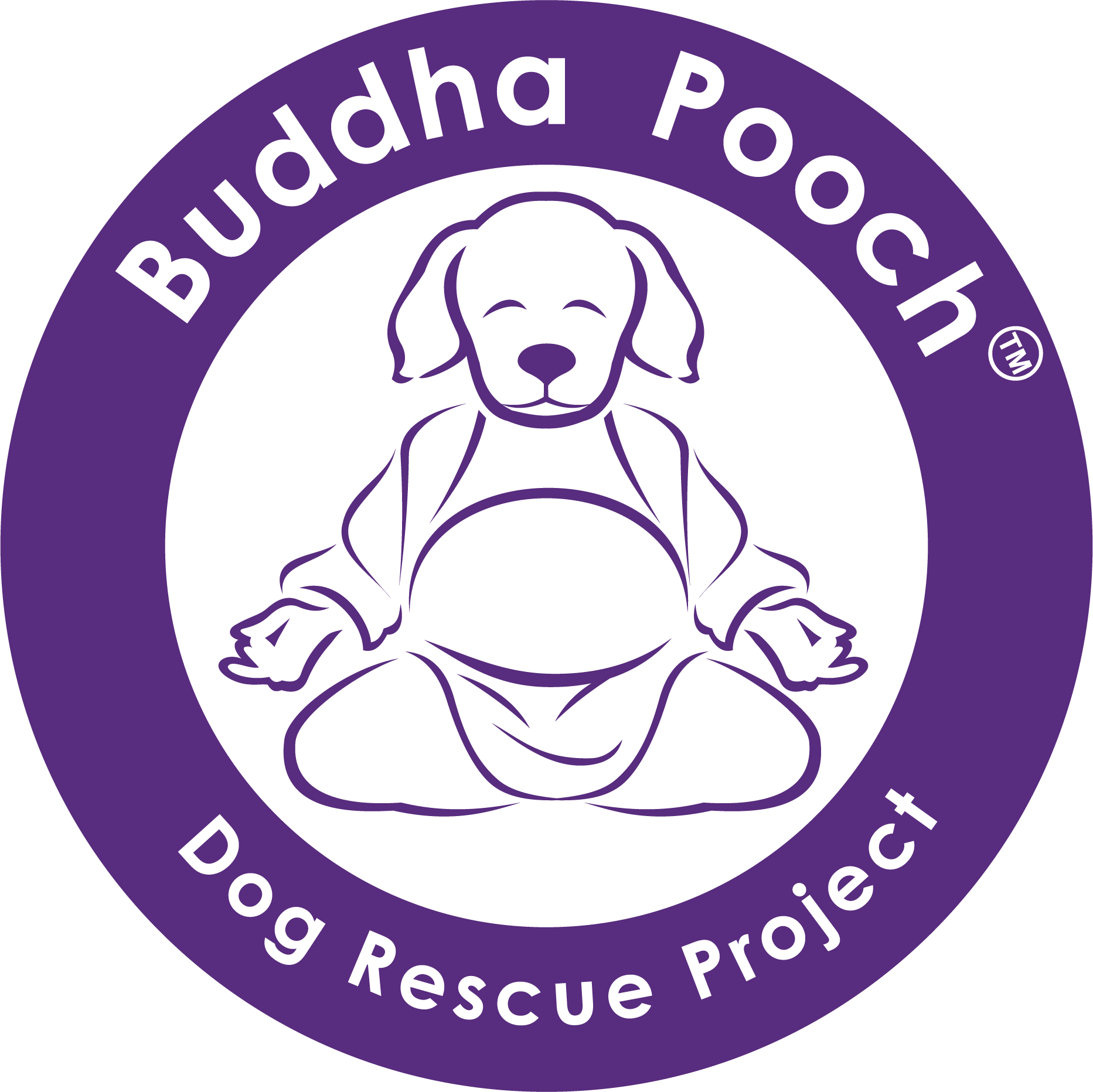 Buddha Pooch