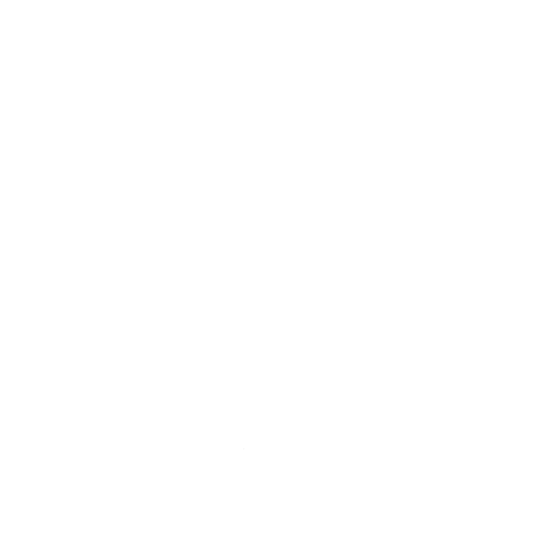 Kind Lion Sound