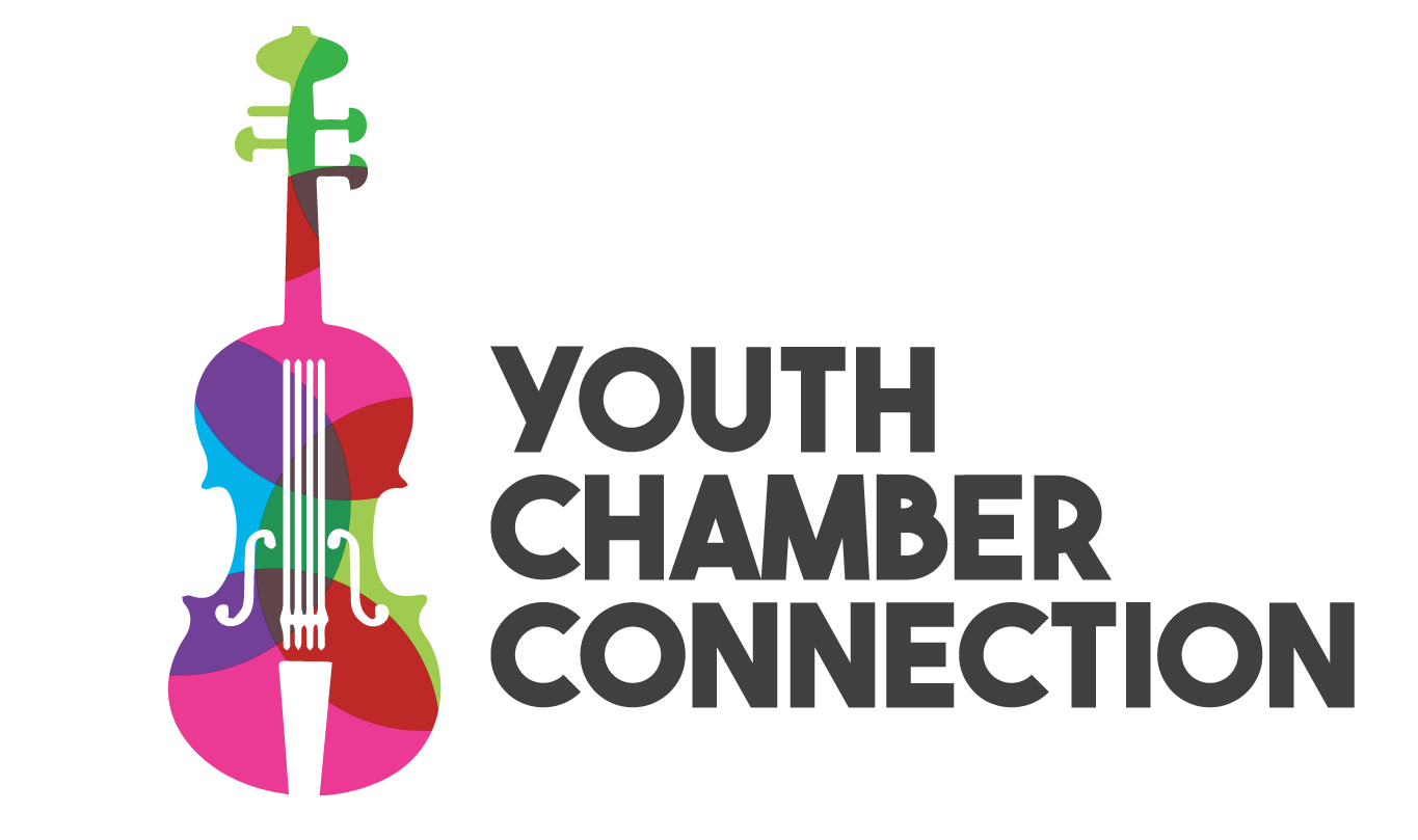Youth Chamber Connection
