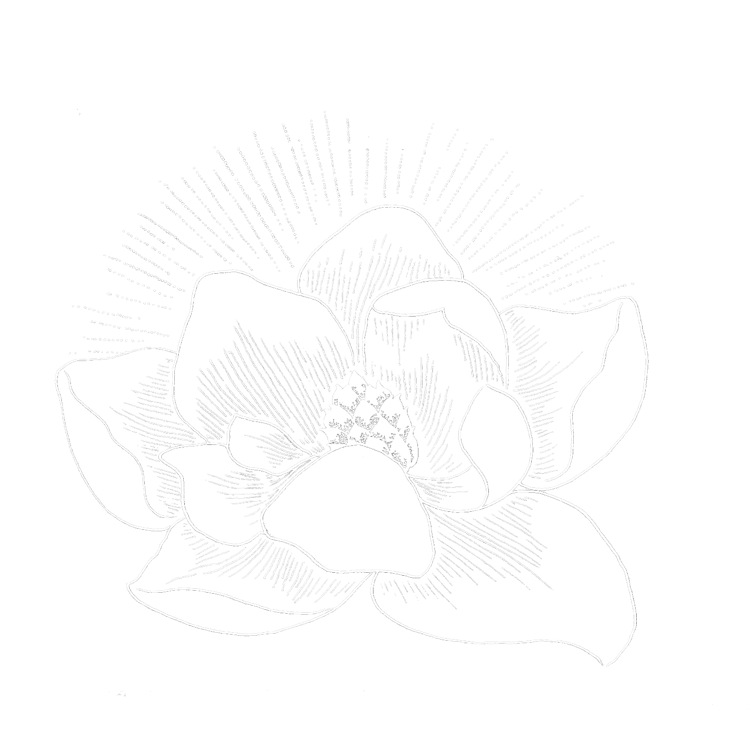 Ka 'Ohi Nani Gardens