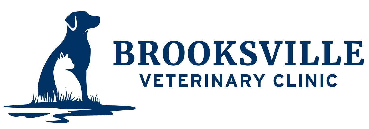 Brooksville Veterinary Clinic